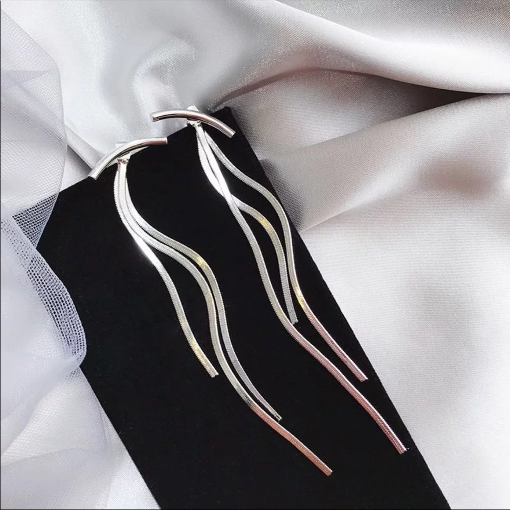 New Silver Bar Long Tassel Earrings - Picture 2 of 7